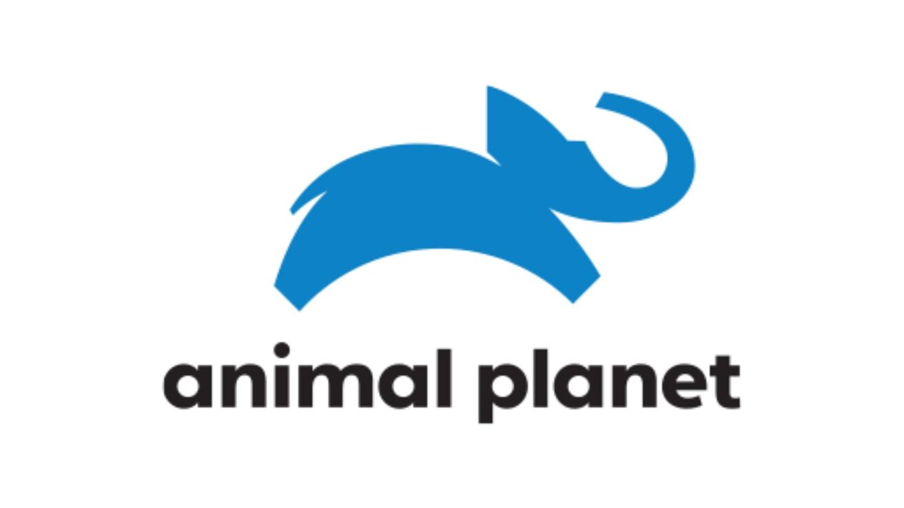 Animal Planet