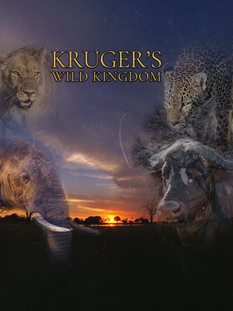 Kruger’s Wild Kingdom