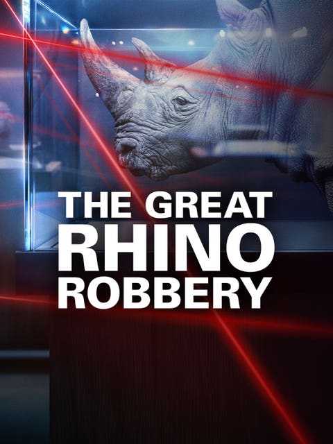 The Great Rhino Robbery