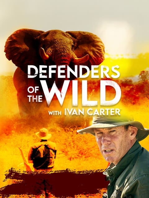 Defenders of The Wild