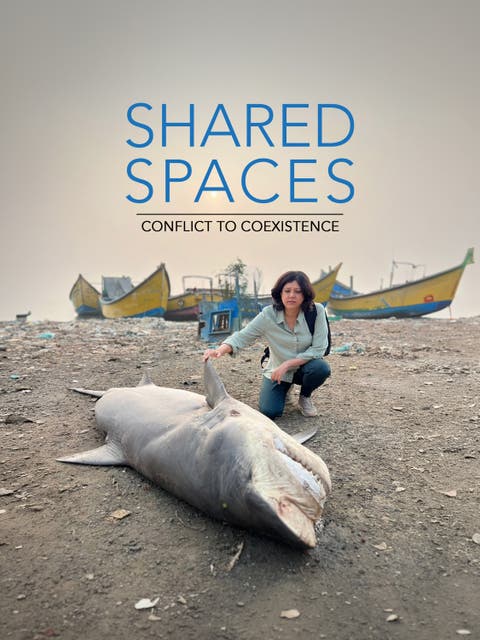 Shared Spaces