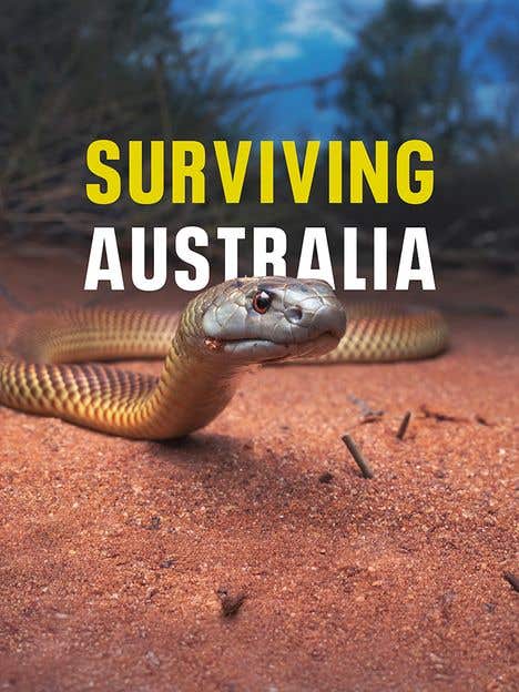 Surviving Australia