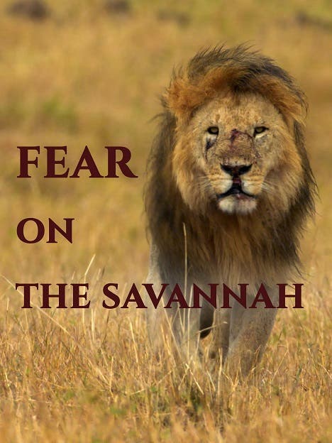 Fear on the Savannah