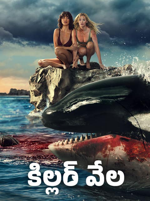 Killer Whale
