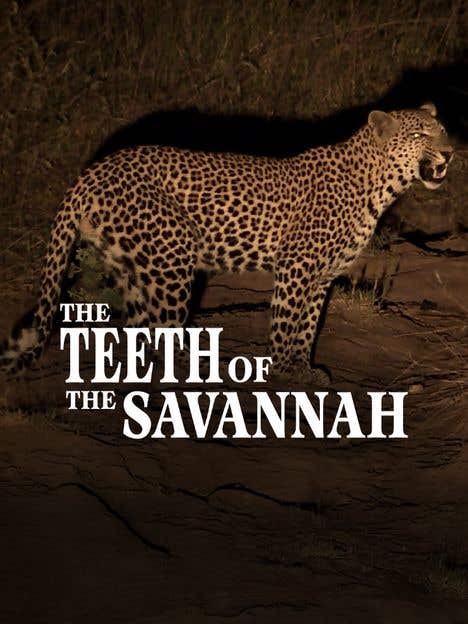 The Teeth of the Savannah